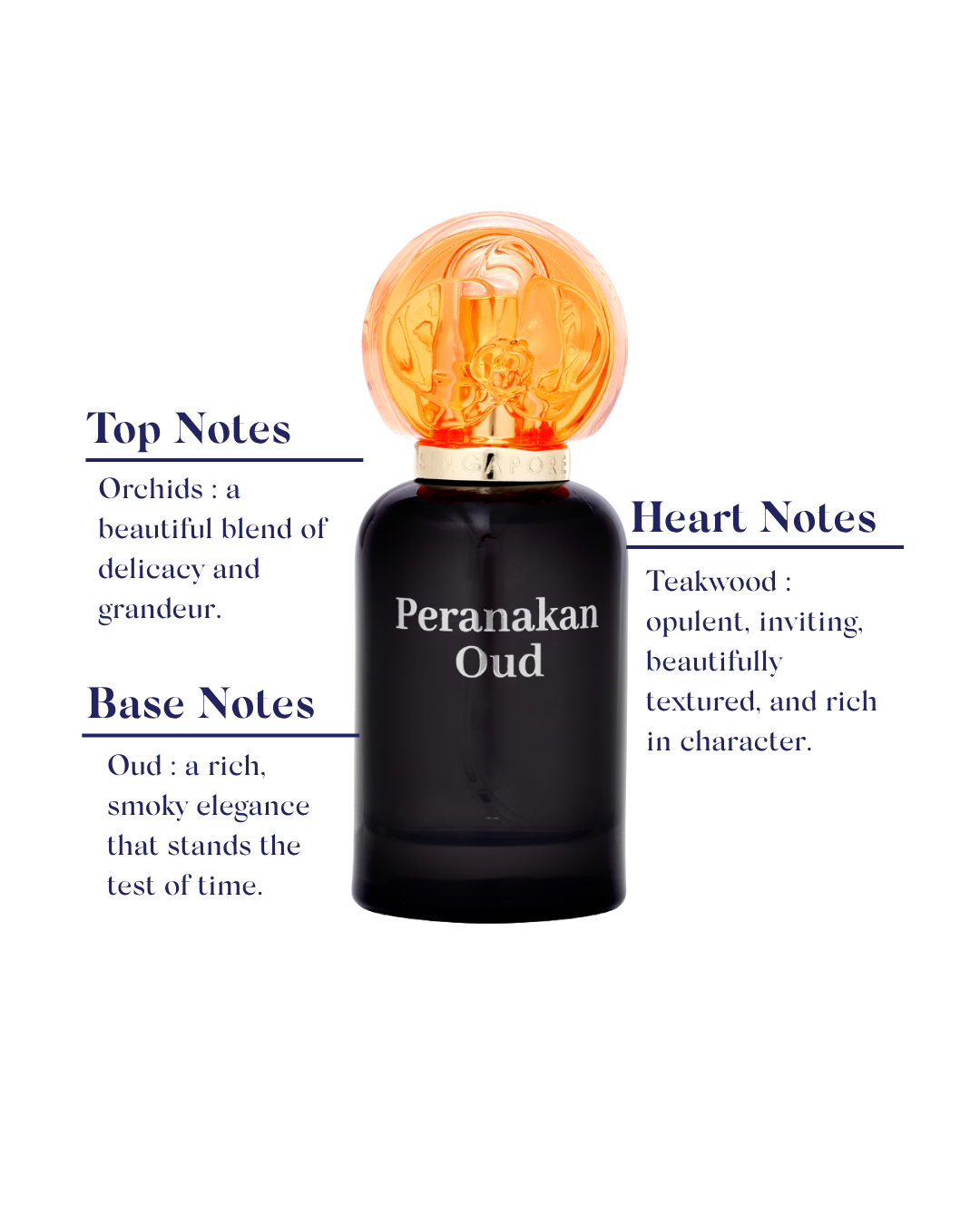 Peranakan Oud perfume bottle with notes description on a white background