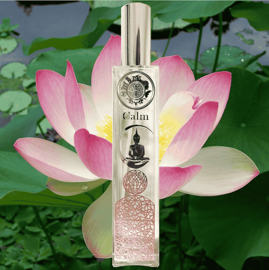 calm of buddha temple meditation native orchids essential oils of asia therapeutic orchids singapore memories singapore girl singapore memories sg girl perfume essential oils orchids fragrance oils perfume and fragrance