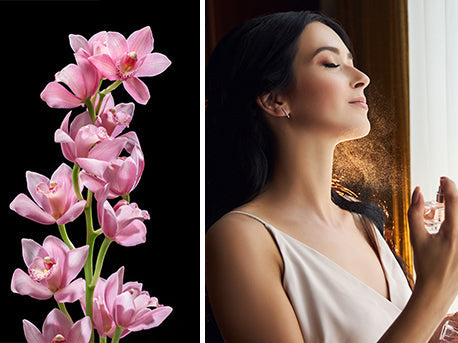 A girl is taking Perfume as a Representation