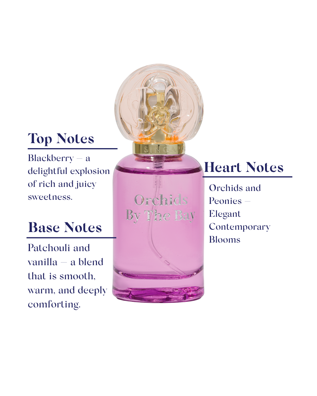 Pink perfume bottle with detailed description of top, heart, base notes on a white background