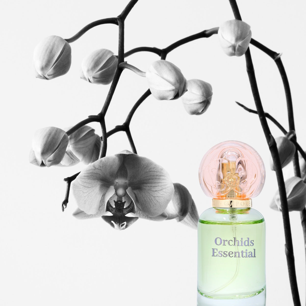Perfume bottle labeled 'Orchids Essential' with orchid flowers in the background