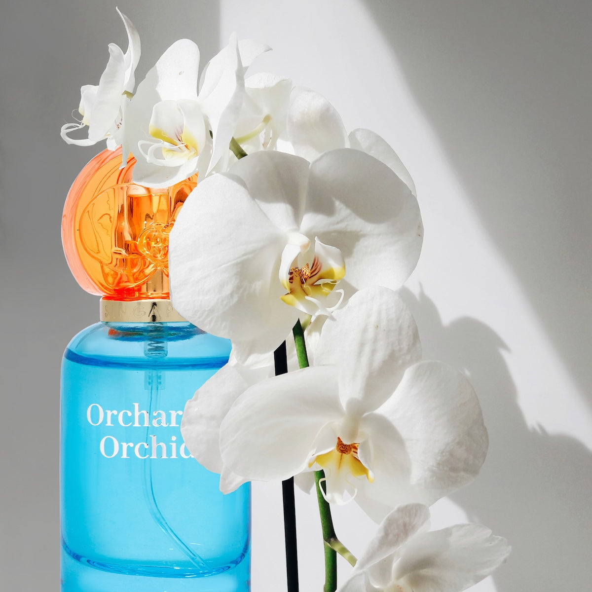 A bottle of perfume in blue color with white orchids in the background