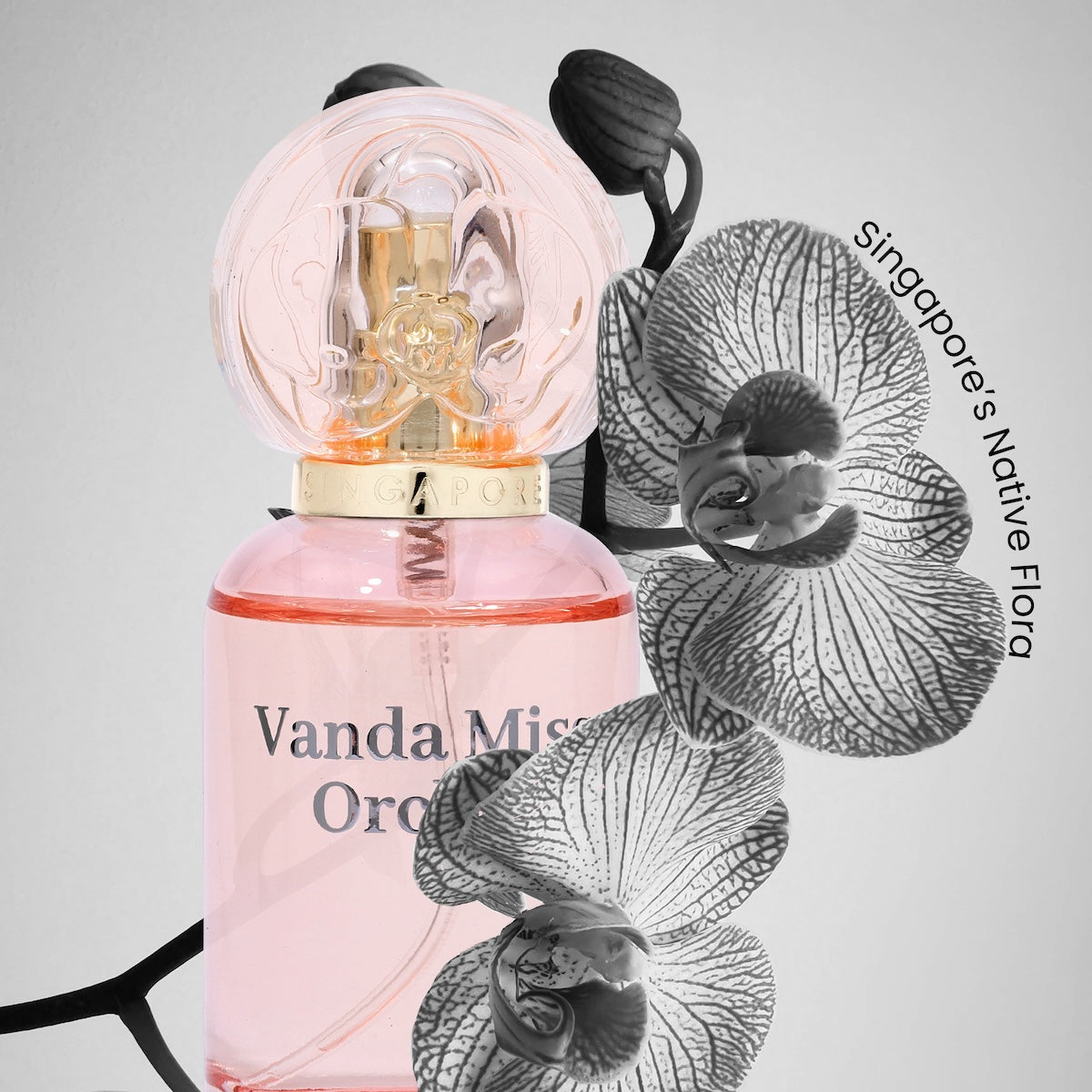 Pink Vanda Miss Joaquim orchid-shaped perfume bottle with black and white orchid illustrations on a light gray background.