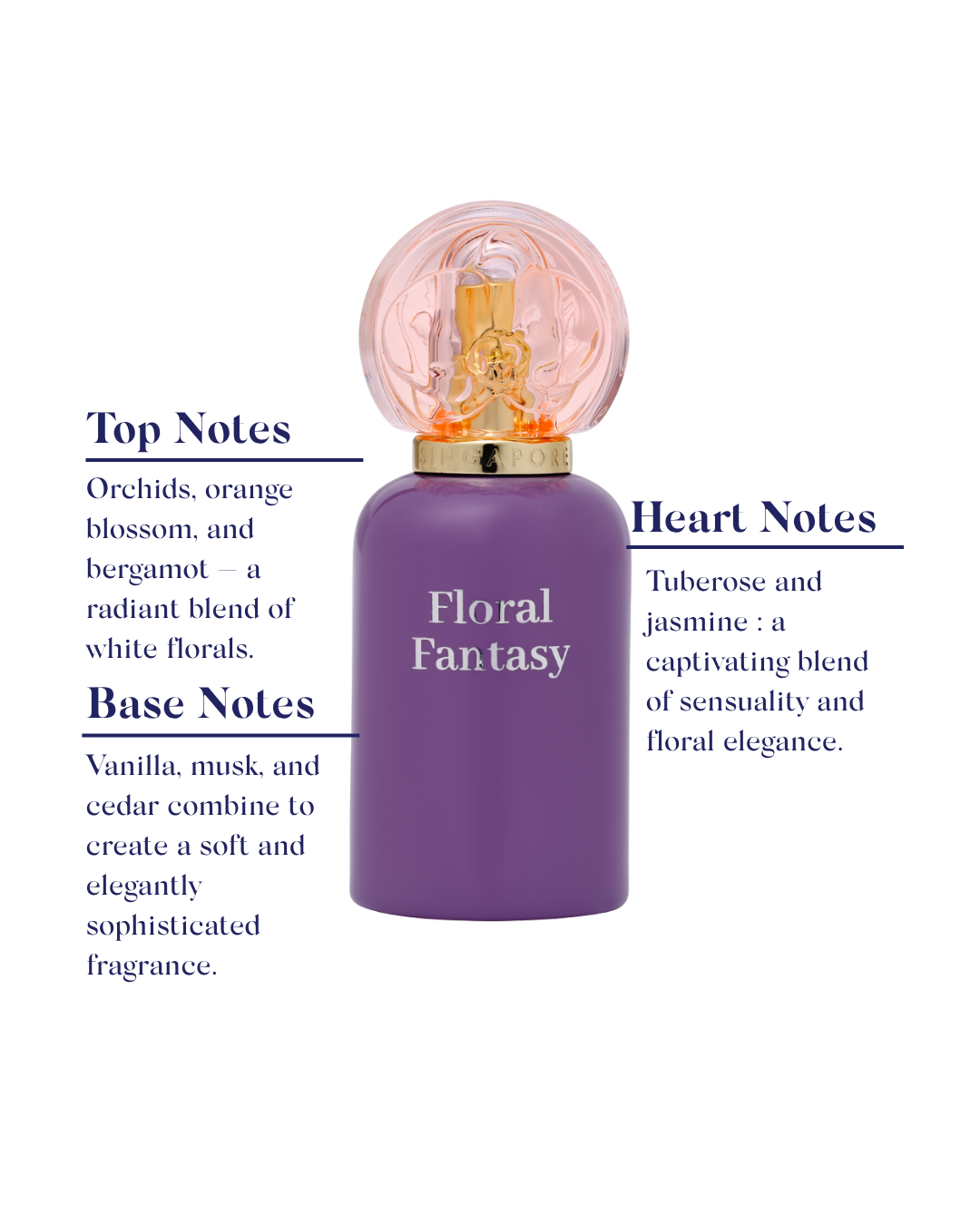 Purple perfume bottle labeled 'Floral Fantasy' with fragrance notes text on a white background