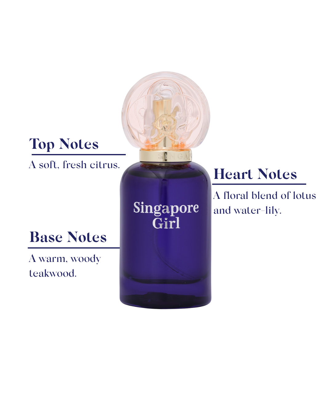 Blue perfume bottle labeled 'Singapore Girl' with notes description on a white background