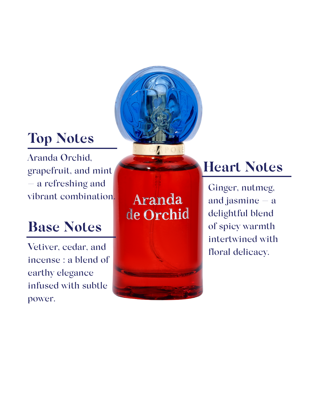 Aranda de Orchid