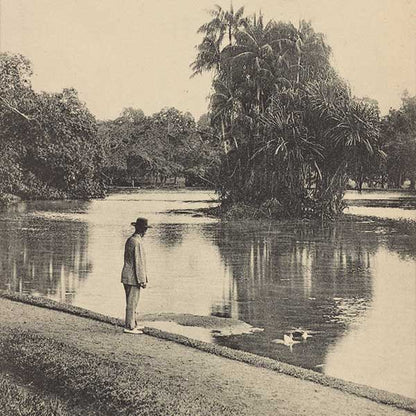 an old image of singapore botanical garden