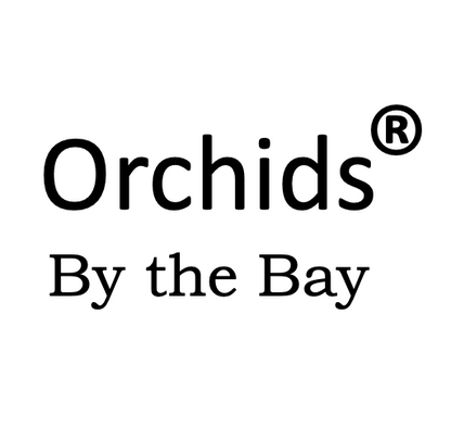 Singapore Perfume Online Store : Singapore Memories , Orchids By The Bay best souvenir and gift from Singapore