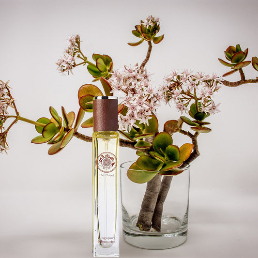 Singapore Perfume Collection called the orient in yellow bottle in front of Orchid bonsai plant